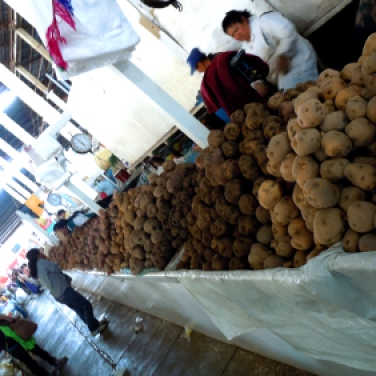 Some of the over 3000 varieties of potatoes on display in the market